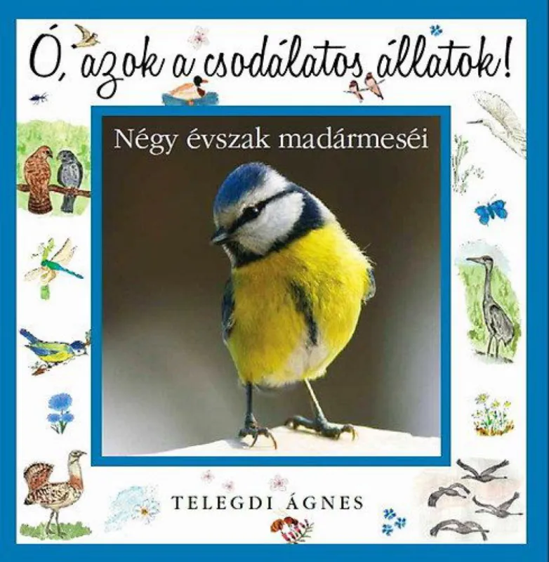 Ó, azok a csodálatos állatok! - Négy évszak madármeséi Szezonális akció