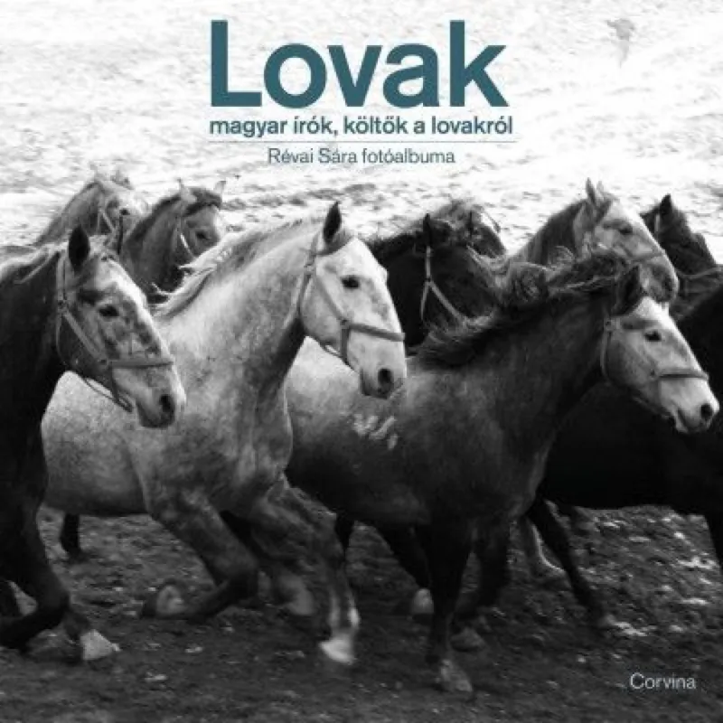Lovak - magyar írók, költők lovakról - Révai Sára fotóalbuma Újdonság