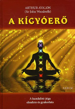 A kígyóerő Biztonságos fizetés