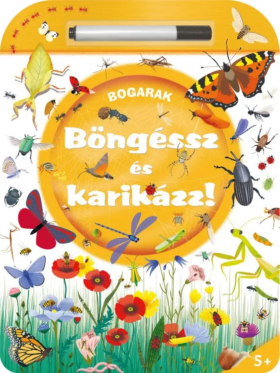 Böngéssz és karikázz! - Bogarak Népszerű