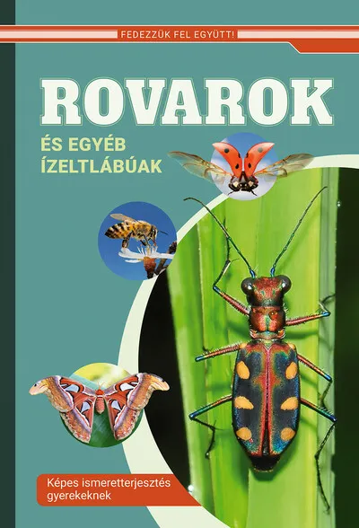 Szuper ajánlat Rovarok és egyéb ízeltlábúak - Képes ismeretterjesztés gyerekeknek - Fedezzük fel együtt!
