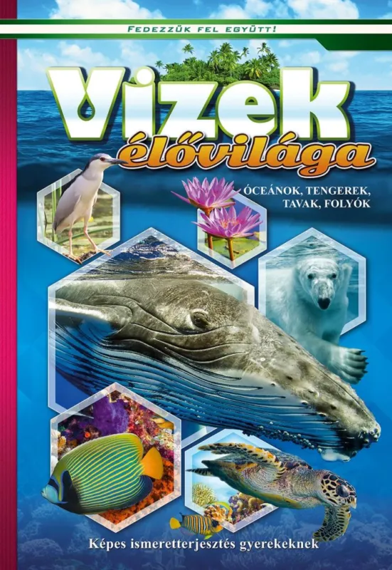 Vizek élővilága- Képes ismeretterjesztés gyerekeknek - Fedezzük fel együtt! Legnépszerűbb