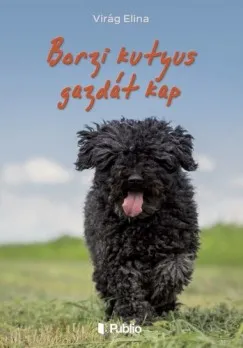 Borzi kutyus gazdát kap Különleges ajánlat