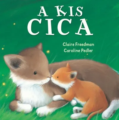 A kis cica Outlet