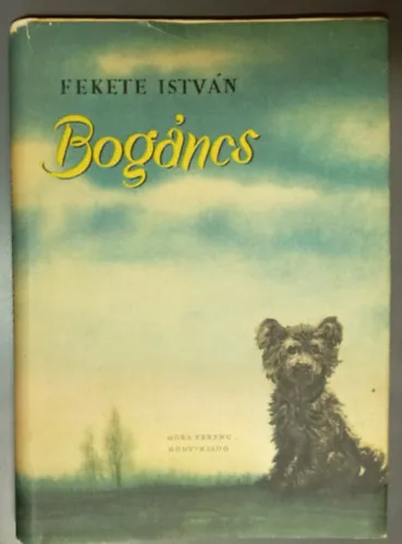 Bogáncs (Második kiadás; Fekete-fehér rajzokkal illusztrálva) Utolsó esély