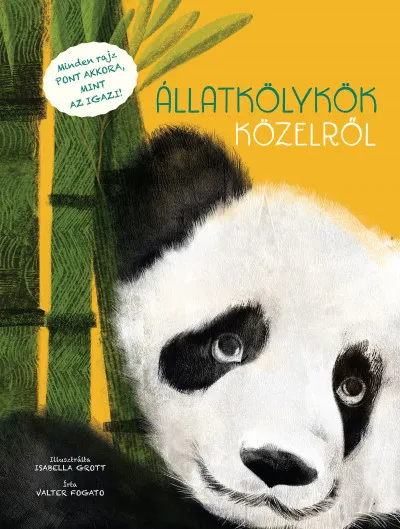 Állatkölykök közelről - Minden rajz PONT AKKORA, MINT AZ IGAZI! Alacsony ár