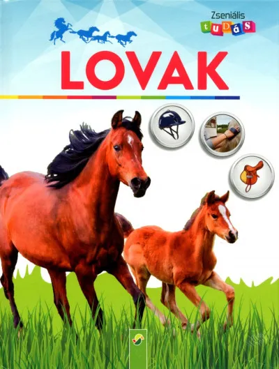 Zseniális tudás: Lovak Legnépszerűbb