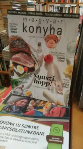76 db Magyar konyha, gasztrokulturális magazin (szórványszámok) Ne maradj le